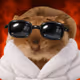 4333