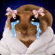 5251