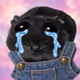 3920