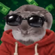 333