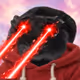 5042
