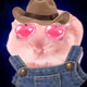 5050