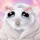 1070