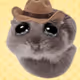 4943