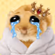 Money Mouse #3606