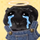 640