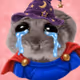4513