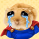 Money Mouse #735