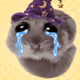 Money Mouse #4637