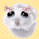Money Mouse #2909