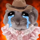6609
