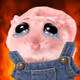 4911