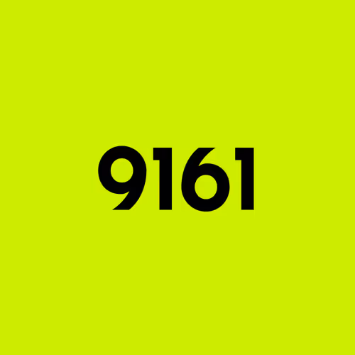Item #8495 Media