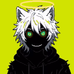 497