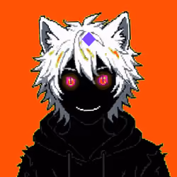 509