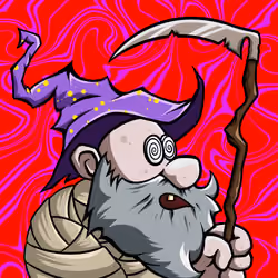 Wizard #2848