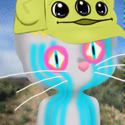 7971