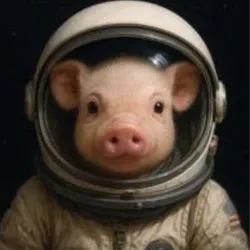 MOONPIG