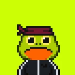 Robin Frogs #412