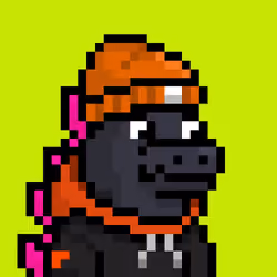 XiLLA #464