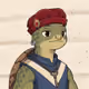 Turtle #911