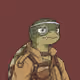 Turtle #929