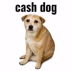 CASHDOG