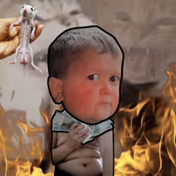 1121
