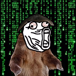 467
