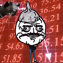 557