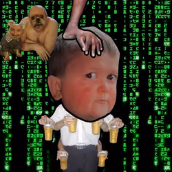 335