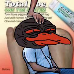 360