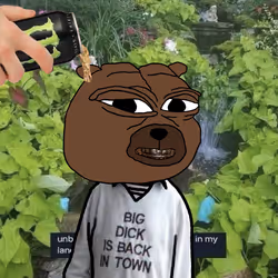 323