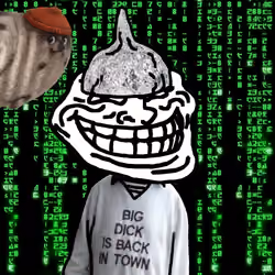 519