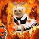 [LEGENDARY] Cash Cat #3