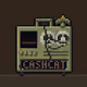 4300