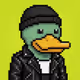 Robin Ducks