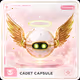 Cadet Capsule #160
