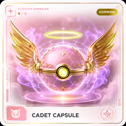 Cadet Capsule #989