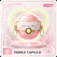 Pebble Capsule #371