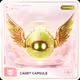 Cadet Capsule #167