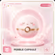 Pebble Capsule #369
