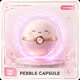 Pebble Capsule #161