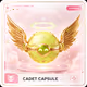 Cadet Capsule #236