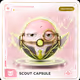 Scout Capsule #166