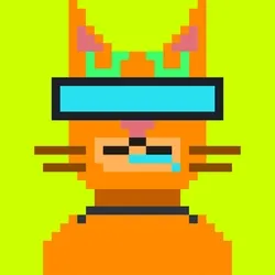 Binary Cat #4389