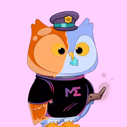 Robin Owl#2233