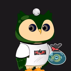 Robin Owl#1517