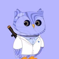 Robin Owl#1547