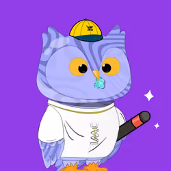 Robin Owl#1486